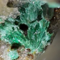 Rajite