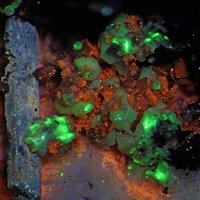 Gaidonnayite, Petersenite-(Ce), Microcline