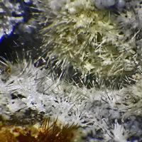 Canavesite