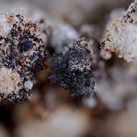 Gaudefroyite