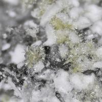 Adranosite-(Fe)