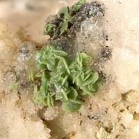 Tangeite