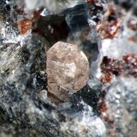 Iimoriite-(Y)