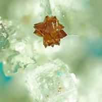 Canutite