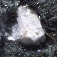 Nacaphite