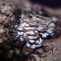 Baumstarkite, Miargyrite, Pyrargyrite