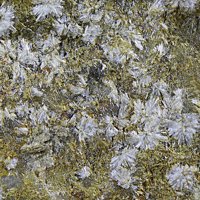 Uralolite