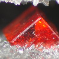 Galkhaite