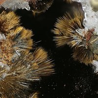 Rankachite