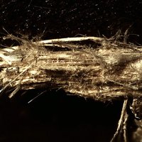 Carlosturanite, Chrysotile