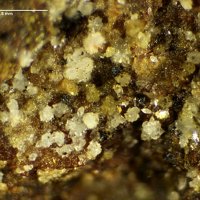Ianbruceite