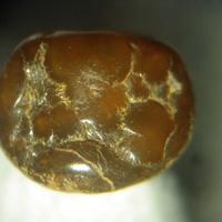 Bahianite