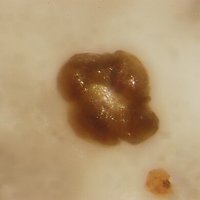 Gasparite-(Ce)