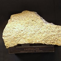 Carpholite