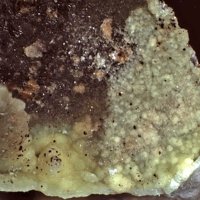 Uranospinite