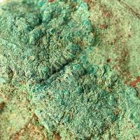 Bandylite