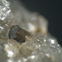 Rambergite