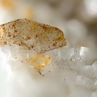 Iimoriite-(Y)
