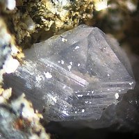 Farneseite