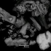 Lafossaite, Thalcusite, Polylithionite