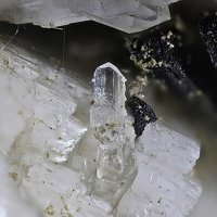 Kainosite-(Y), Biotite, Clinochlore