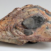Samarskite-(Y), Columbite-(Fe)