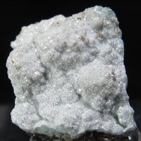 Otavite