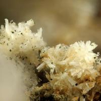 Calcioferrite