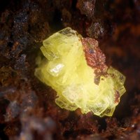 Sabugalite