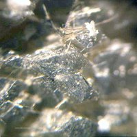 Larsenite