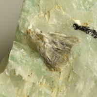 Bavenite, Roggianite, Beryl