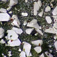 Calciohilairite
