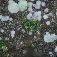 Namibite, Beyerite