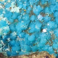 Langite, Linarite, Brochantite
