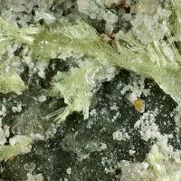 Bayleyite