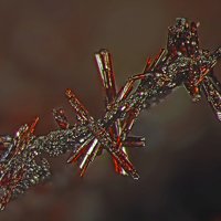 Macfallite