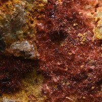 Carminite