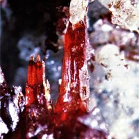 Xanthoconite, Proustite, Calcite