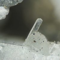 Eakerite, Pyrite, Albite