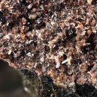 Caoxite