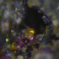 Xanthoconite, Proustite, Quartz