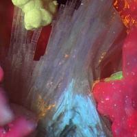 Adamsite-(Y), Franconite, Microcline