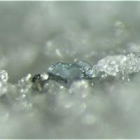 Bavsiite