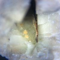 Barwoodite, Eggletonite, Aegirine
