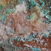 Palmierite