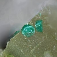 Sabelliite