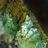 Umohoite, Arsenuranospathite