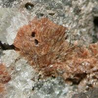 Cabalzarite