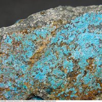 Sampleite