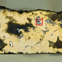 Paolovite, Magnetite, Chalcopyrite